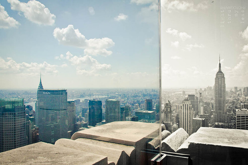 This is Not a NY-Dippy